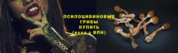 гидропоника Майский